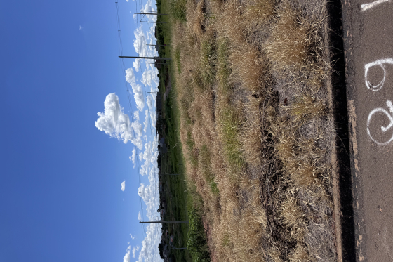 Terreno 187m Umuarama-PR 7